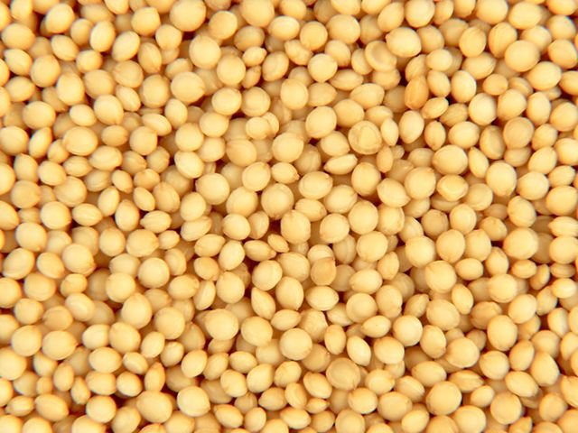 Amaranth Seeds